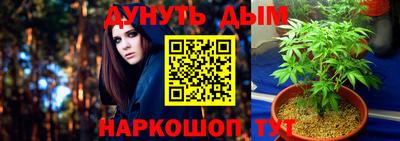 шишки Бузулук