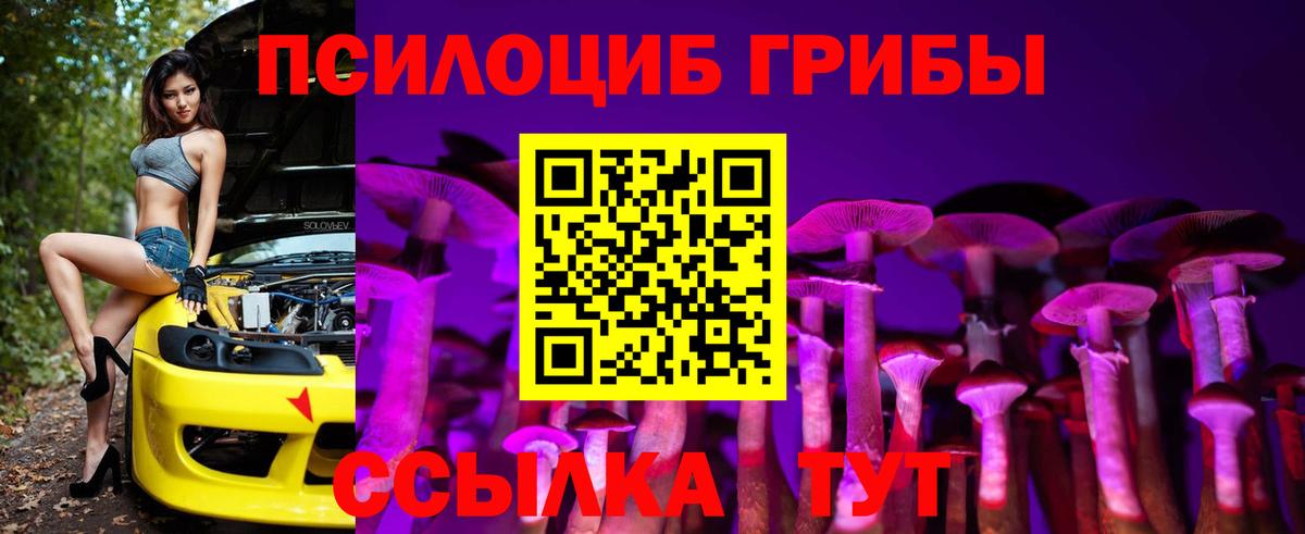 Сафоново  Галлюциногенные грибы мухоморы  Псилоцибиновые грибы GOLDEN TEACHER  Вход с VPN 